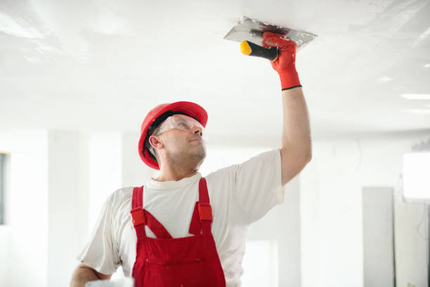 Best Drywall Installation  in Roanoke, VA